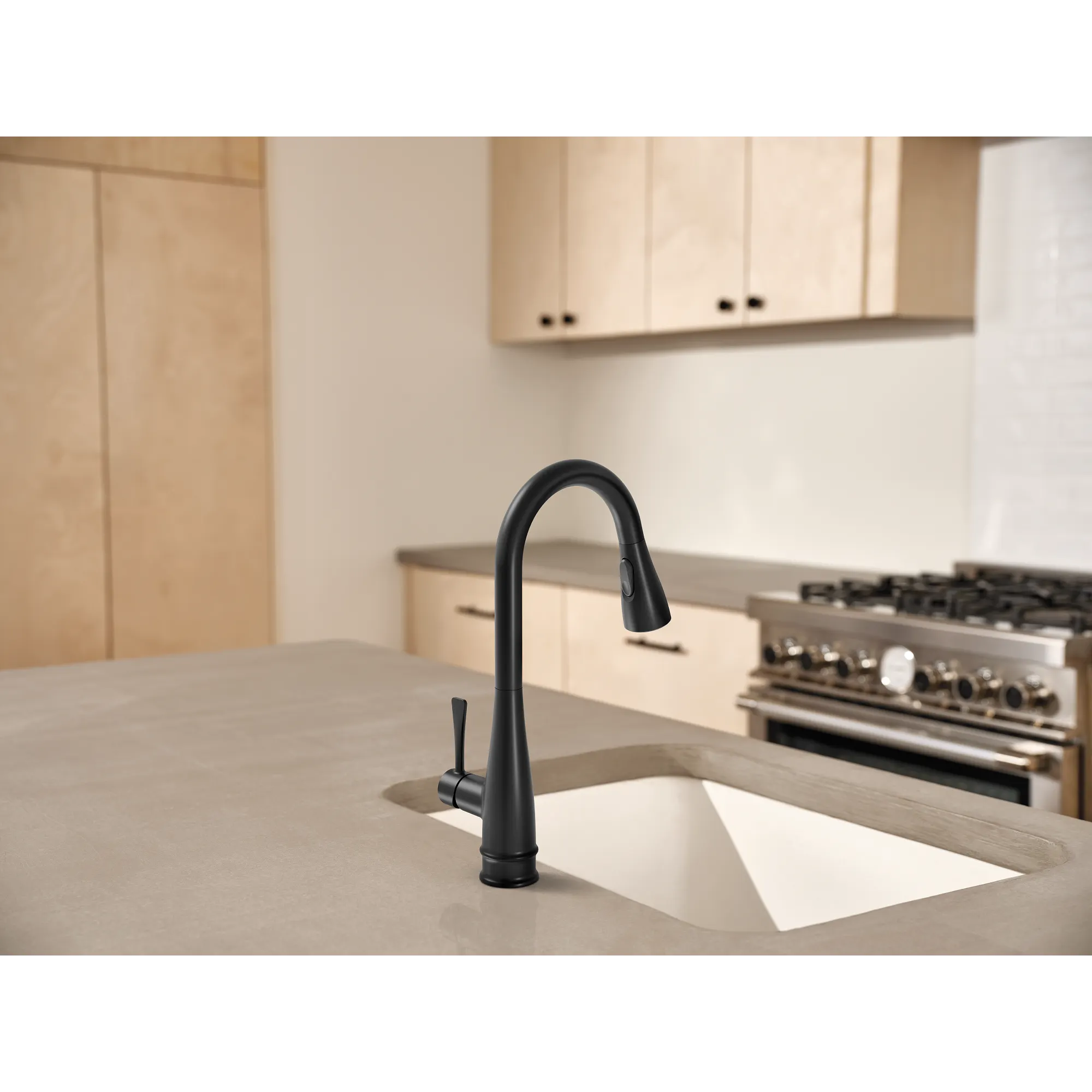 Riverwood Chrome one-handle kitchen faucet - Image 11
