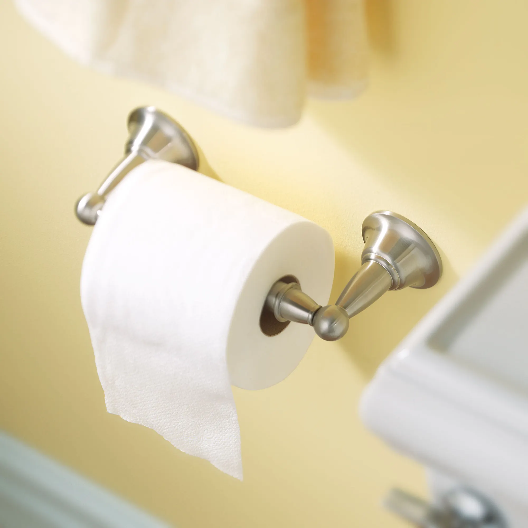 Sage Chrome Toilet Paper Holder - Image 9