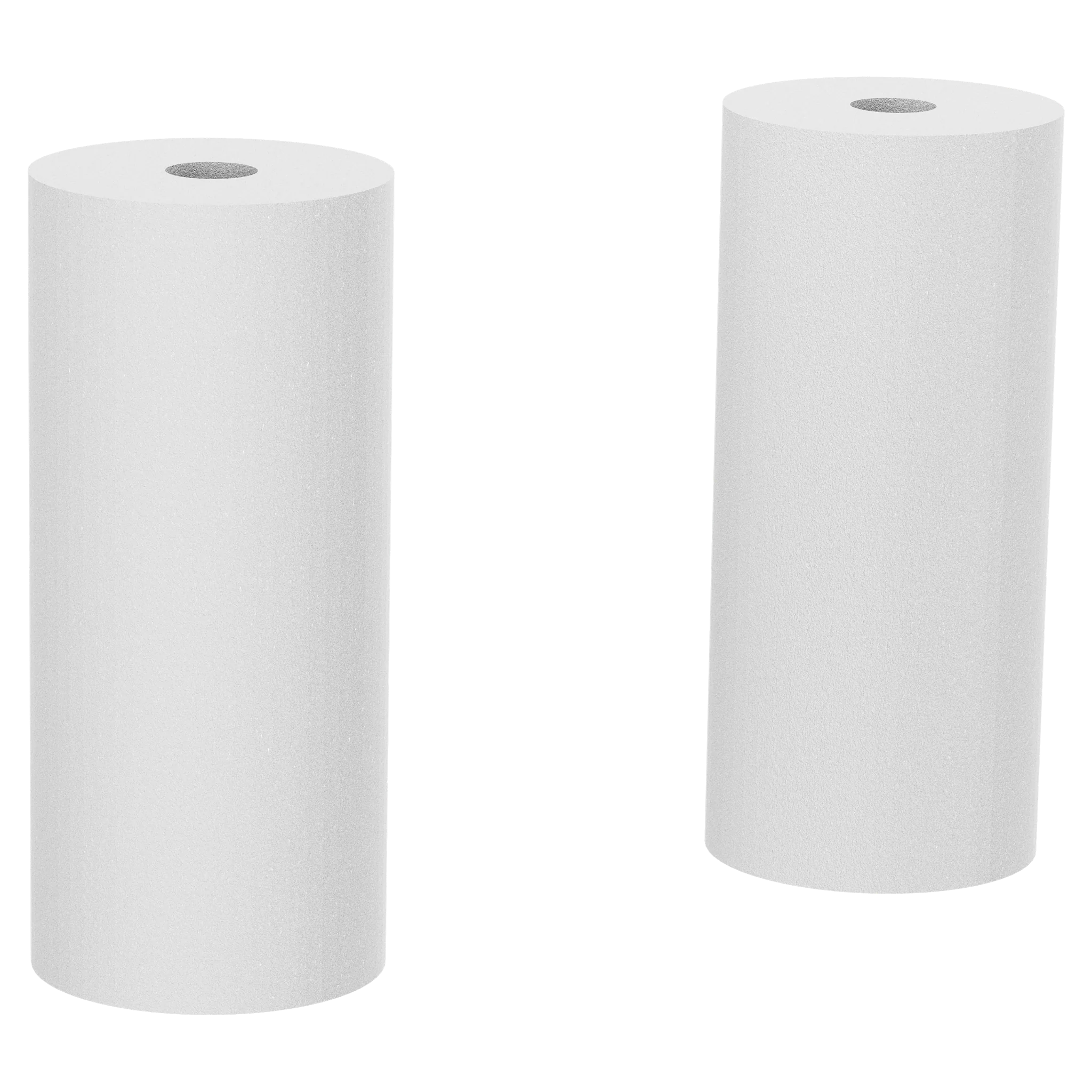 Sediment Replacement Filter - 2 Pack