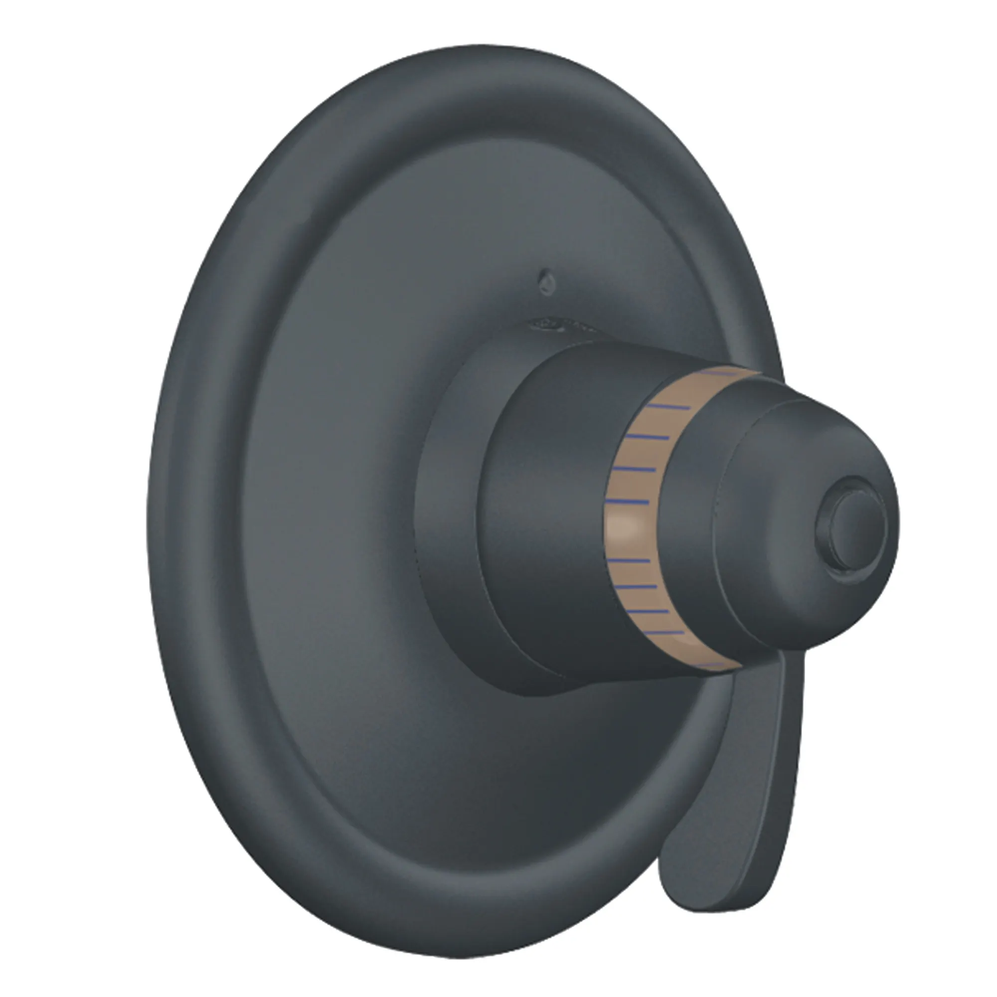 Moen Chrome ExactTemp(R) valve trim - Image 10