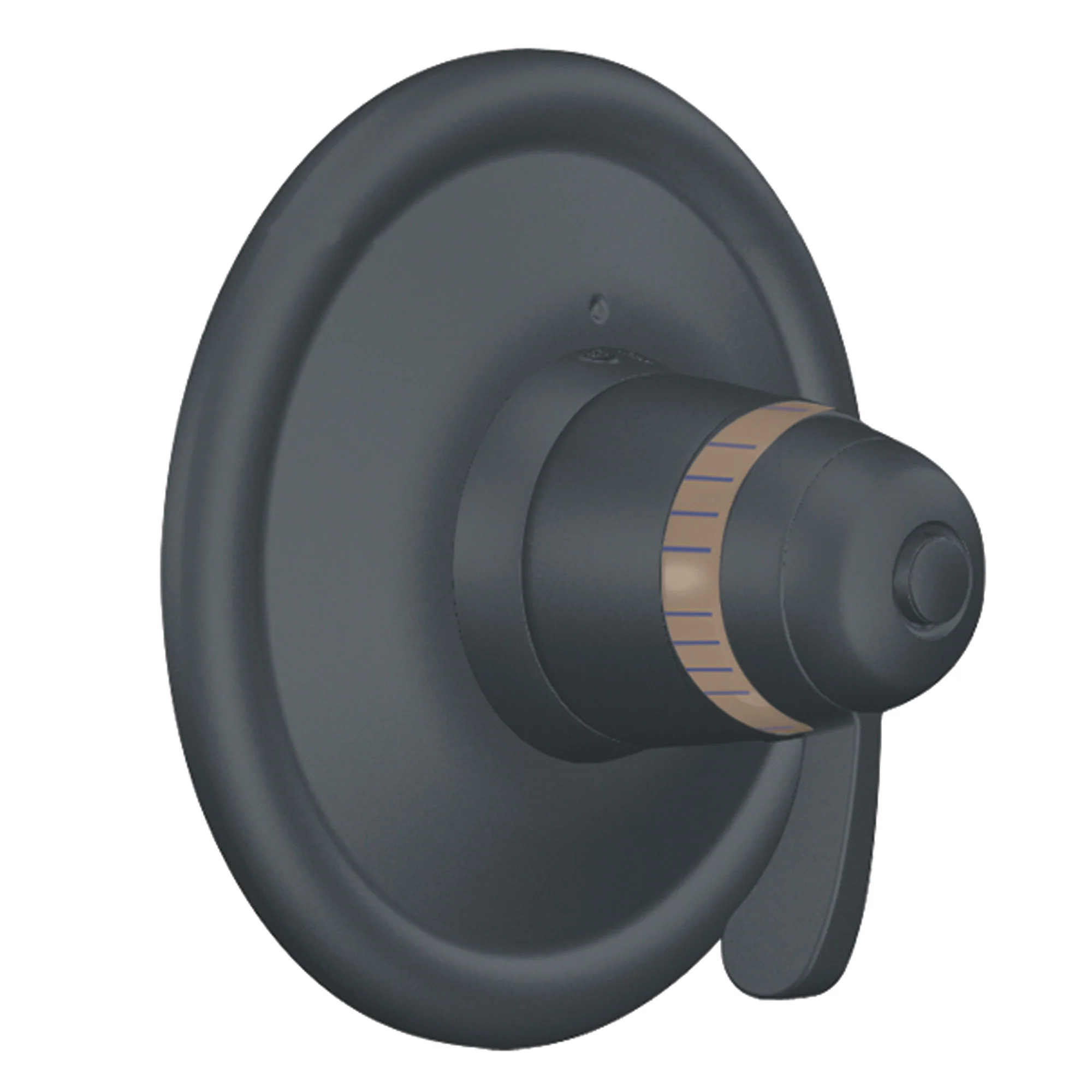Chrome ExactTemp(R) Valve Trim - Image 9